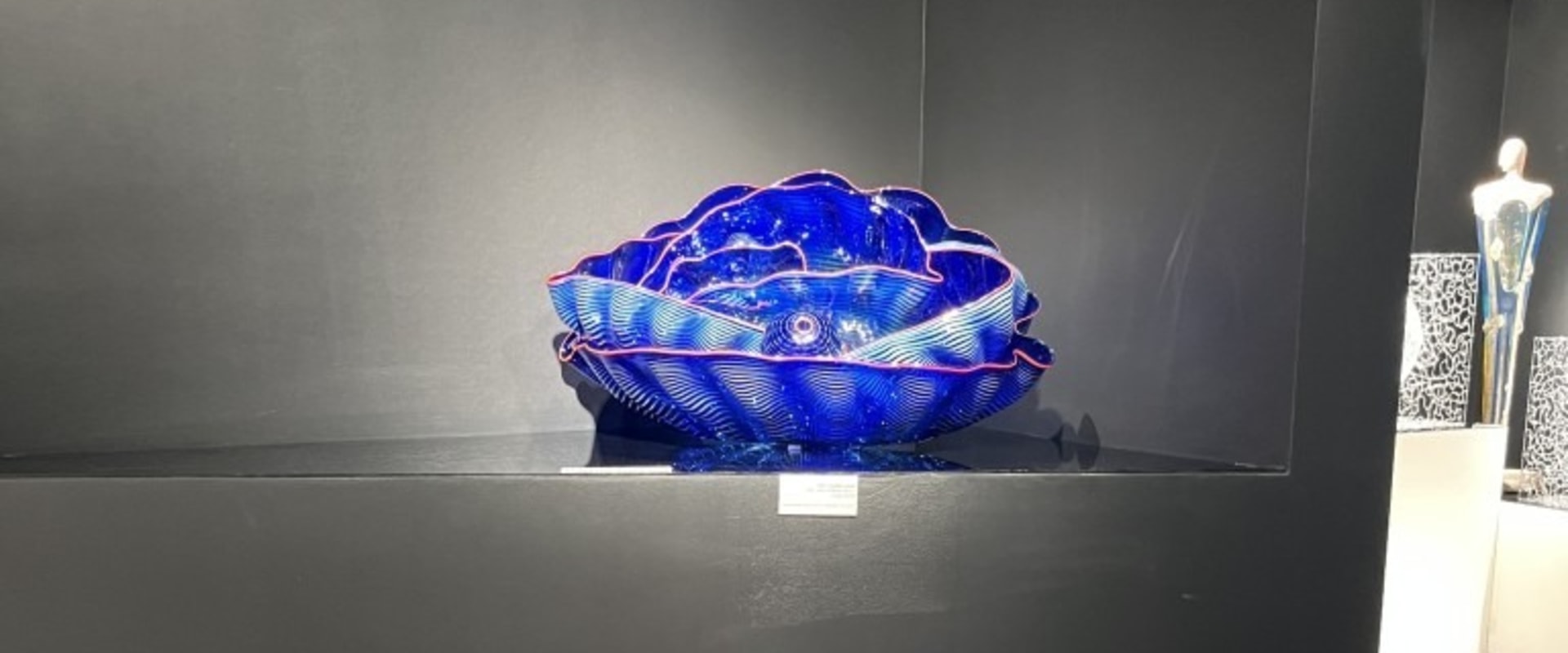 Exploring the Best Educational Exhibits in Pinellas County, Florida