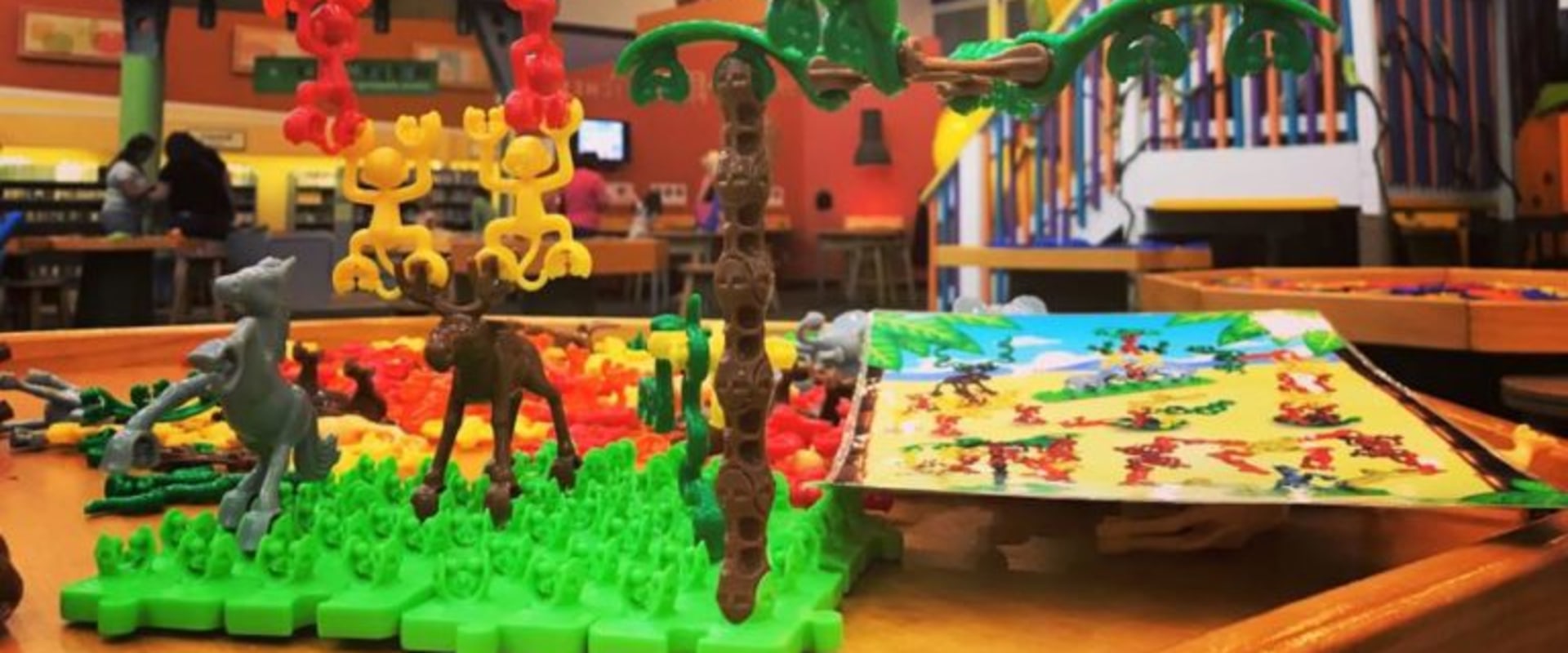 Why Family-Friendly Exhibits Are Becoming a Growing Attraction Across Pinellas County, FL