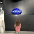 Exploring the Best Educational Exhibits in Pinellas County, Florida
