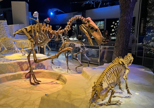 Exploring the Natural Wonders of Pinellas County, Florida